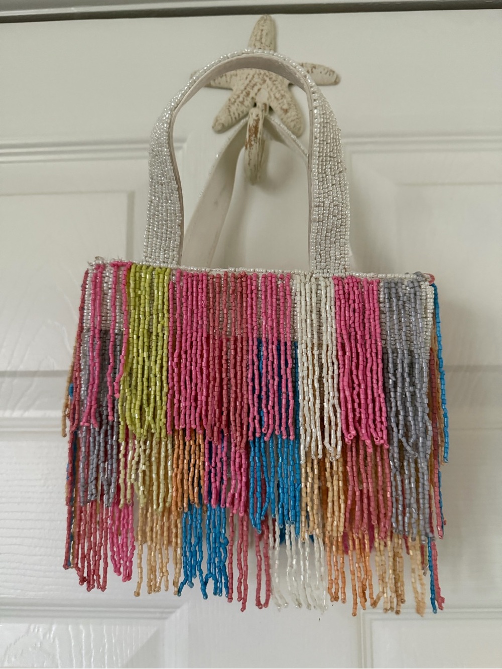 Beaded Fringe Multicolor Women's Tote